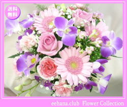 12月の誕生花★ピンクアレンジ3,500円【送料無料】【デンファレ】【写真付きメッセージ選択可】ネット特価！