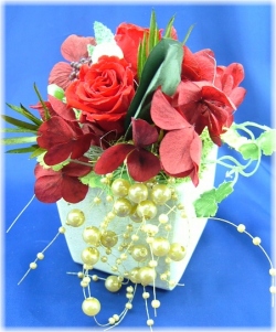 プリザーブドフラワー♪アルプスレッド【送料無料】2,980円ネット特価！