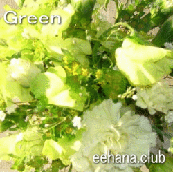 グリーンフラワー★3,000円-デザイナーにおまかせ！