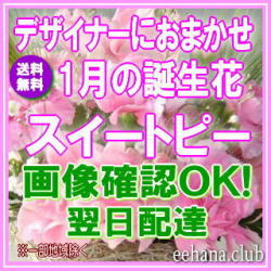 1月の誕生花★デザイナーにおまかせフラワー12,000円【送料無料】【フラワーアレンジ・花束】ネット特価！！