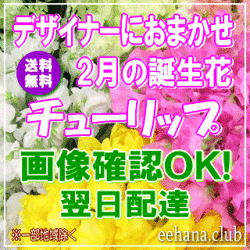 2月の誕生花★デザイナーにおまかせフラワー5,000円【送料無料】【商品画像閲覧ＯＫ！】【チューリップ】【フラワーアレンジ・花束】