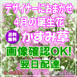 4月の誕生花★デザイナーにおまかせ3,500円【送料無料】【かすみ草】【フラワーアレンジ・花束】ネット特価！