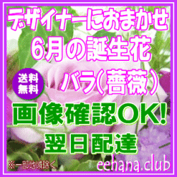6月の誕生花★デザイナーにおまかせ10,000円【送料無料】【薔薇】【フラワーアレンジ・花束】ネット特価！