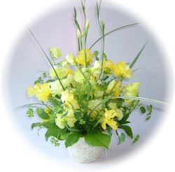 シャモニー【送料無料】10,000円【アレンジ】ネット特価！