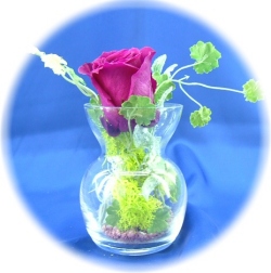 プリザーブドフラワー　クリスタルワインレッド1,200円　-ネット特価！