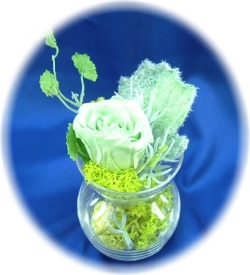 プリザーブドフラワー　クリスタルライムグリーン1,200円-ネット特価！