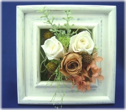 プリザーブドフラワーモンブランホワイト3,500円-ネット特価！