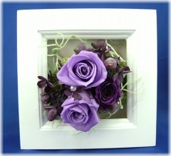 プリザーブドフラワーモンブランパープル3,500円-ネット特価！