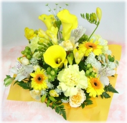 ピュアイエローランド5,000円-【アレンジ】ネット特価！