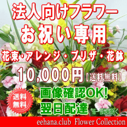 法人向けフラワー★お祝い花専用フラワー10,000円【送料無料】【画像閲覧OK！】【カード付】【アレンジ・花束・プリザ・はちもの】