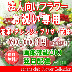 法人向けフラワー★お祝い花専用フラワー30,000円【送料無料】【画像閲覧OK！】【カード付】【アレンジ・花束・プリザ・はちもの】