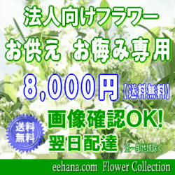 法人向けフラワー★お供え・お悔やみに贈る花★デザイナーにおまかせ8,000円【送料無料】【法事 お供え お盆 お彼岸 アレンジ 花束】