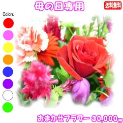 母の日に贈る花★デザイナーにおまかせ30,000円【送料無料】ネット特価！！