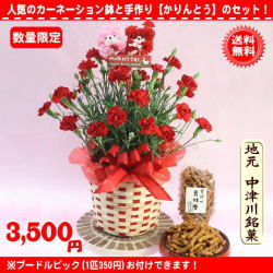 数量限定！オススメ！2020母の日★地元名物お菓子と赤カーネーション花鉢5号セット3,500円【送料無料】ネット特価！