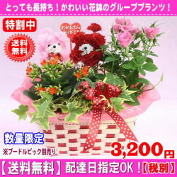 2020オススメ■特割★母の日はちもの★マミーバスケット今だけ3,200円【送料無料】【プードルピック選択可能】ネット特価！