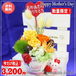 特割！大人気！2019母の日プリザ★NEWラビット★オレンジ3,200円【送料無料】ネット特価！