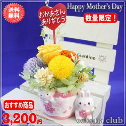 徳割！大人気！2019母の日プリザ ラビットサクラシリーズ★サクラオレンジ3,200円【今だけ！送料無料】ネット特価！