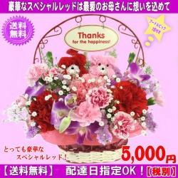 売れてます！2020★母の日★スペシャルレッドアレンジ5,500円【送料無料】【プードルピックペア2匹付き】ネット特価！