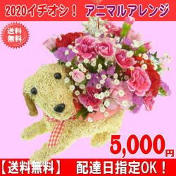 2020★母の日★アニマルアレンジ5,500円【送料無料】ネット特価！