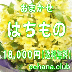 おまかせ鉢物★はちもの・花鉢・グループプランツ18,000円【送料無料】【お祝い・お供え・ビジネス】ネット特価！
