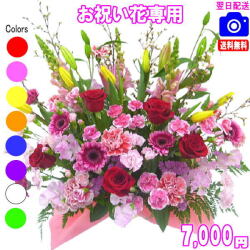 お祝い花専用フラワー7,000円【送料無料】【画像閲覧OK！】【カード付】開店・退職・結婚祝い・新築・出産 フラワー即日発送