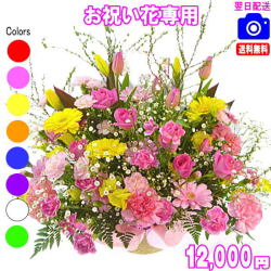 お祝い花専用フラワー12,000円【送料無料】【画像閲覧OK！】【カード付】開店・退職・結婚祝い・新築・出産 フラワー即日発送