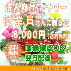 法人向けフラワー