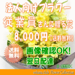 法人向けフラワー