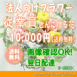 法人向けフラワー