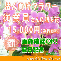 法人向けフラワー