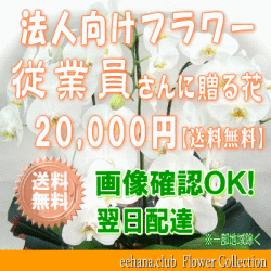 法人向けフラワー