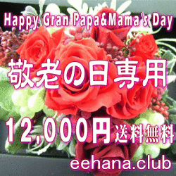 敬老の日専用★デザイナーにおまかせフラワー12,000円【送料無料】ネット特価！