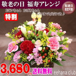敬老の日★福寿アレンジ3,680円【送料無料】ネット特価！