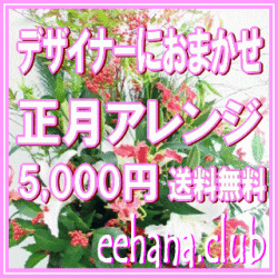 正月・迎春アレンジ★とってもお得★デザイナーにおまかせ♪5,000円【送料無料】ネット特価！！
