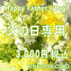 父の日に贈る花♪デザイナーにおまかせ3,000円-【花束・アレンジ・鉢物・プリザーブドフラワー】ネット特価！！