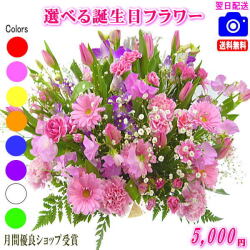 大人気！誕生日専用フラワー5,000円【送料無料】【画像閲覧OK！】【カード付】【フラワー お誕生日 花 プレゼント 即日発送