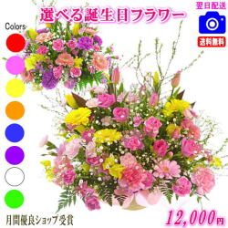 大人気！誕生日専用フラワー12,000円【送料無料】【画像閲覧OK！】【カード付】【フラワー お誕生日 花 プレゼント 即日発送