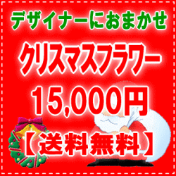デザイナーにおまかせ★X'masフラワー15,000円【送料無料】ネット特価！！