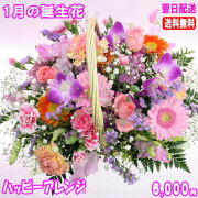 1月の誕生花★ハッピーアレンジ6,000円【送料無料】【写真付きメッセージ選択可】ネット特価！！