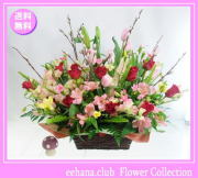 2月の誕生花★ナチュラルアレンジ花言葉付き【チューリップ】12,000円【送料無料】ネット特価！！