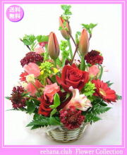 2月の誕生花★レッドアレンジ花言葉付き3,800円【送料無料】【チューリップ】【四つ葉メッセージボトル選択可】ネット特価！！