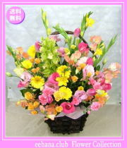 2月の誕生花★ファンタジーアレンジ花言葉付き10,000円【送料無料】【チューリップ】【四つ葉メッセージボトル選択可】ネット特価！！