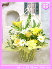 3月の誕生花★イエローアレンジ花言葉付き4,000円【送料無料】【フリージア】【四つ葉メッセージボトル選択可】ネット特価！！