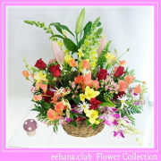 3月の誕生花★ハッピーアレンジ花言葉付き10,000円【送料無料】【フリージア】【四つ葉メッセージボトル選択可】ネット特価！！