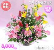 3月の誕生花★スマイルアレンジ5,000円【送料無料】【花言葉カード付】【フリージア】【15時までのご注文で翌日配送】！