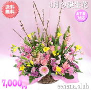 3月の誕生花★マーチアレンジ7,000円【送料無料】【花言葉カード付】【フリージア】【15時までのご注文で翌日配送】！