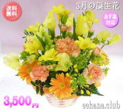 3月の誕生花★オレンジアレンジ3,500円【送料無料】【花言葉カード付】【フリージア】【15時までのご注文で翌日配送】！