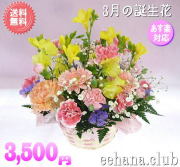 3月の誕生花★カラフルアレンジ3,500円【送料無料】【花言葉カード付】【フリージア】【15時までのご注文で翌日配送】！