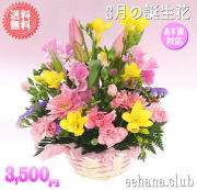 3月の誕生花★ピンクアレンジ3,500円【送料無料】【花言葉カード付】【15時までのご注文で翌日配送】！
