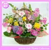 4月の誕生花★カラフルアレンジ5,000円【送料無料】花言葉付き【かすみ草】【四つ葉メッセージボトル選択可】ネット特価！